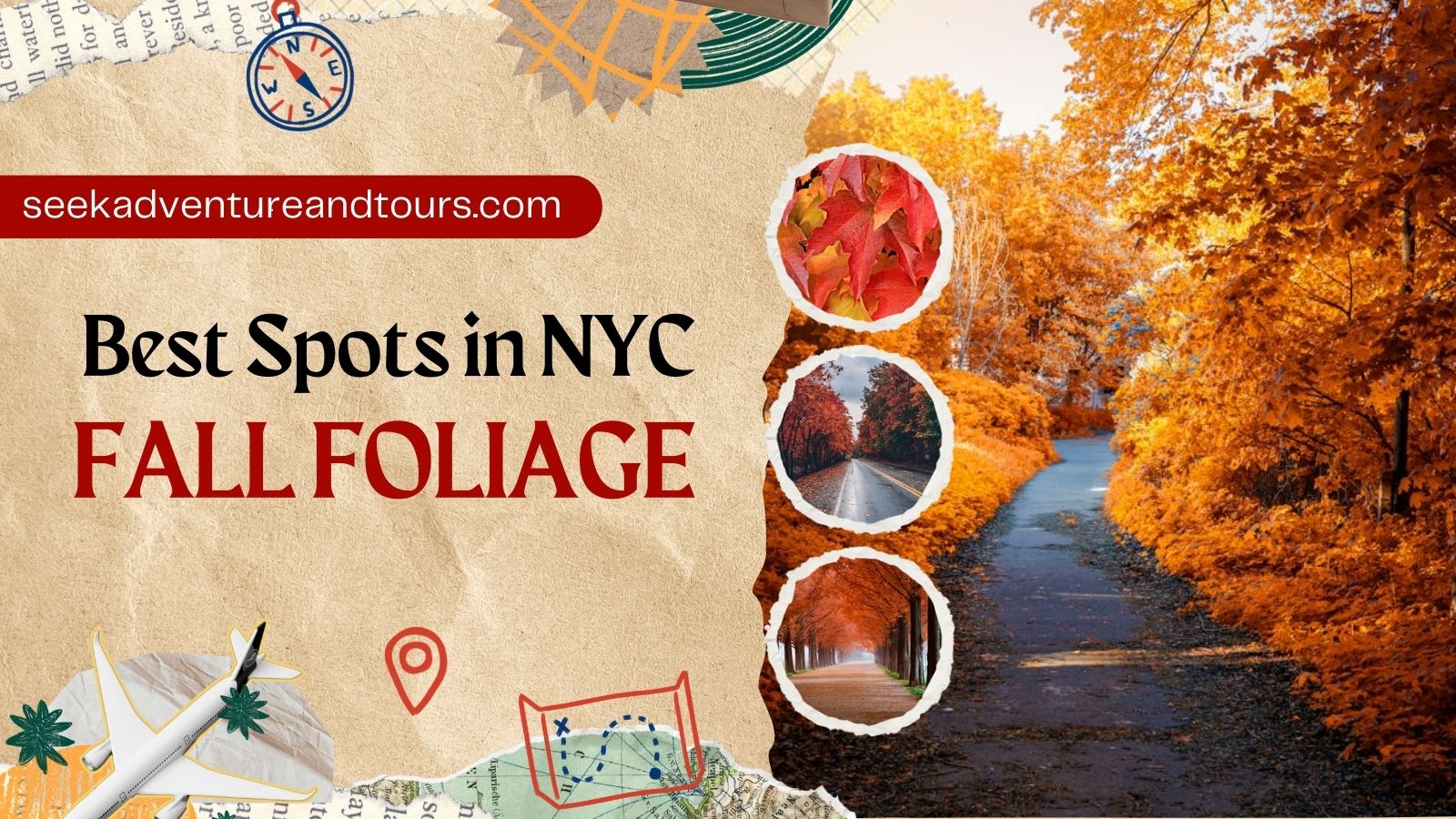 Top Spots for Fall Foliage in NYC