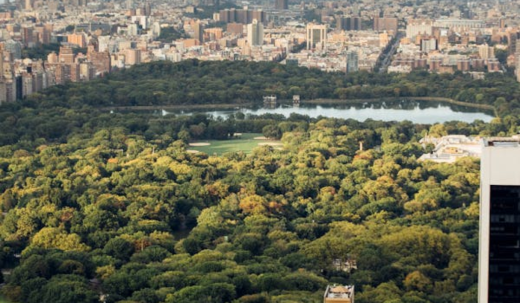 best time to visit NYC
